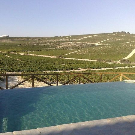 赫雷斯 Jerez Vina Santa Petronila旅馆 外观 照片