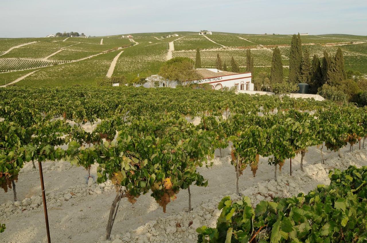 赫雷斯 Jerez Vina Santa Petronila旅馆 外观 照片
