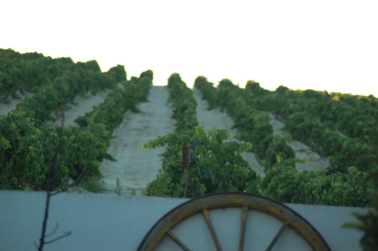 赫雷斯 Jerez Vina Santa Petronila旅馆 外观 照片