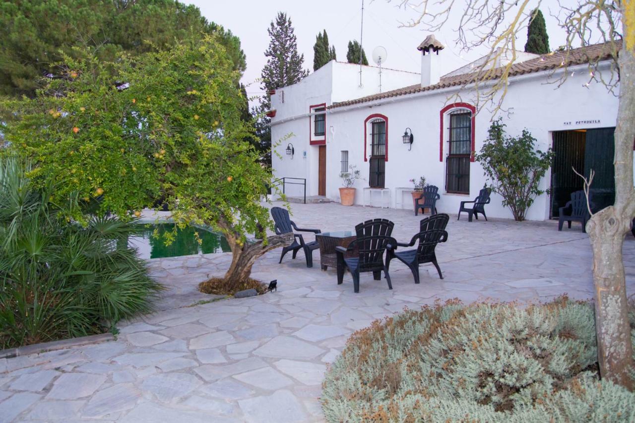 赫雷斯 Jerez Vina Santa Petronila旅馆 外观 照片